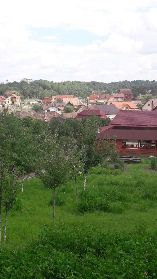 הוילה טורדה Casa Anamaria מראה חיצוני תמונה